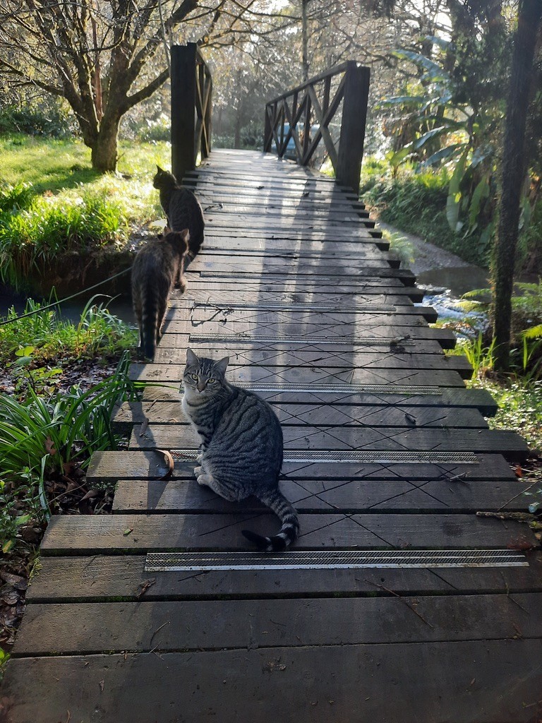 MudWood Natural Living and Creative Learning Centre Fundraiser