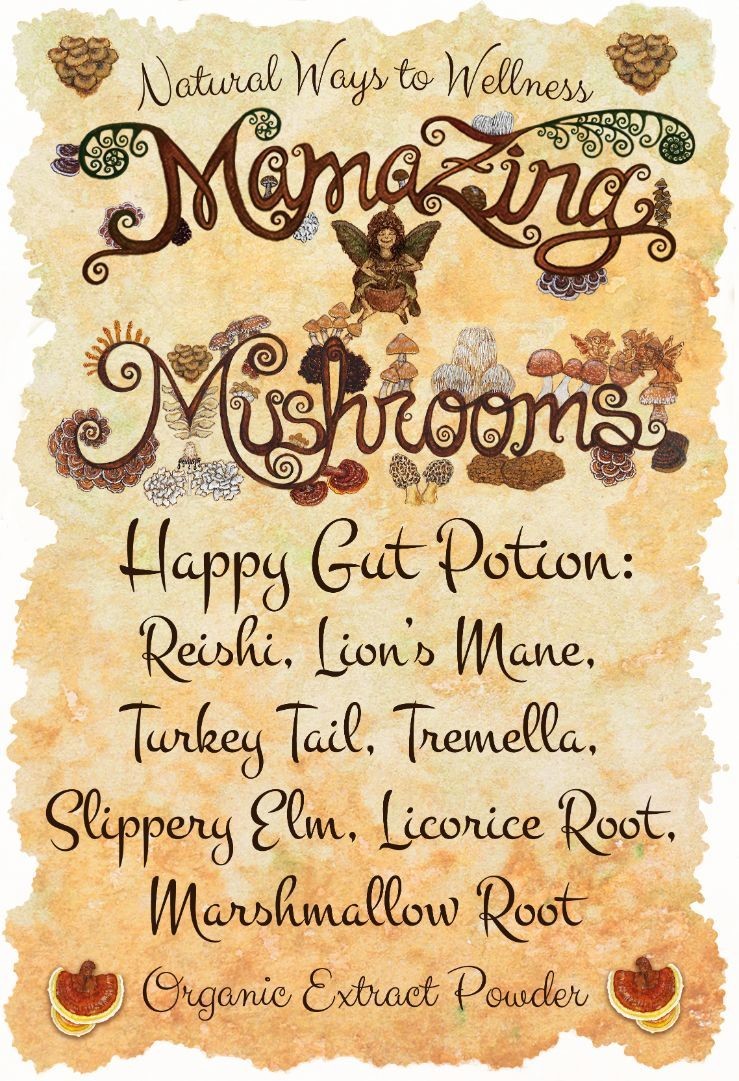 MamaZing-Mushrooms-Happy-Gut-Potion-Label