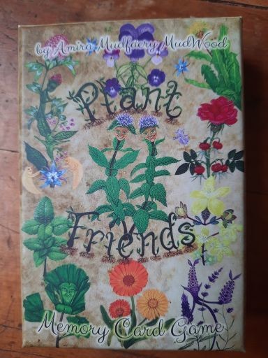 Plant Friends Memory Card Game Special!