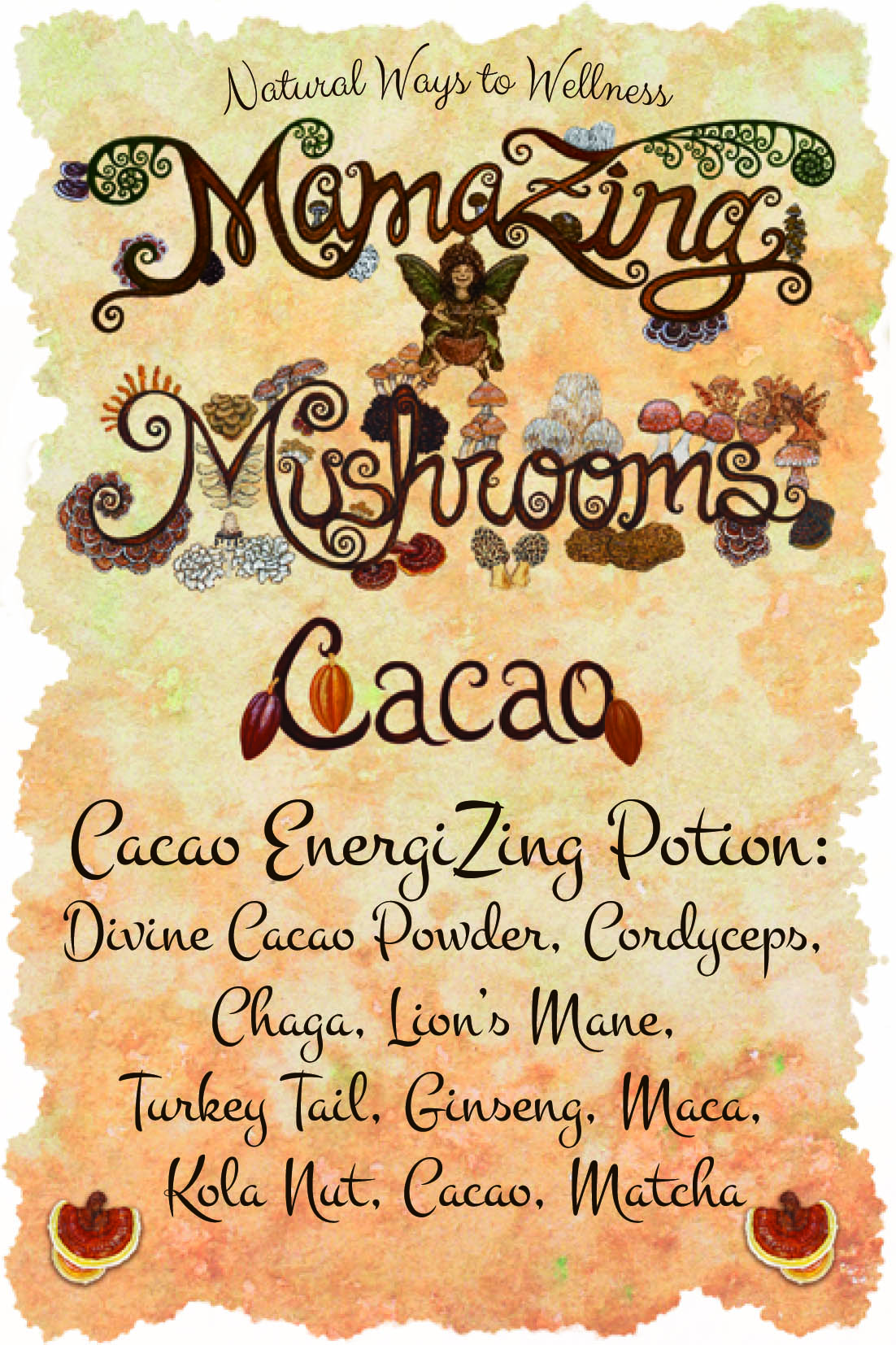 Cacao Mushroom Blends